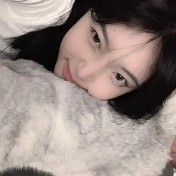 掟上今日子的备忘录